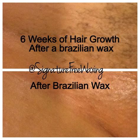 Original Brasil Waxing by Andrea – Brasil Waxing for。